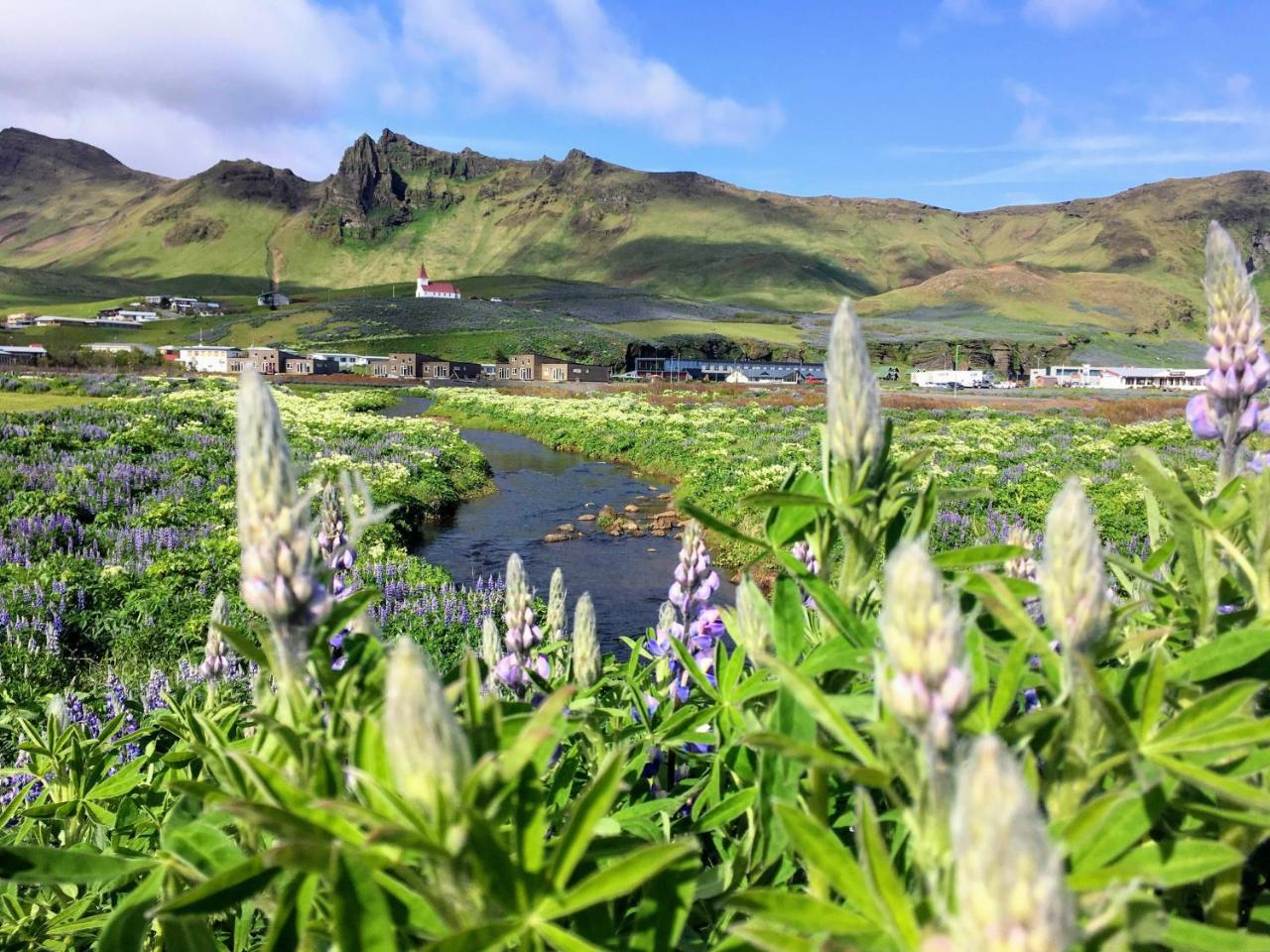 Hótel Kría Vík Exterior foto